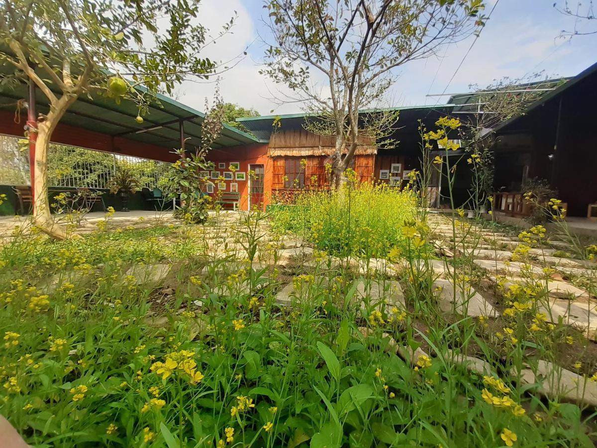 Homestay Lan Rung Nghia Lo Εξωτερικό φωτογραφία