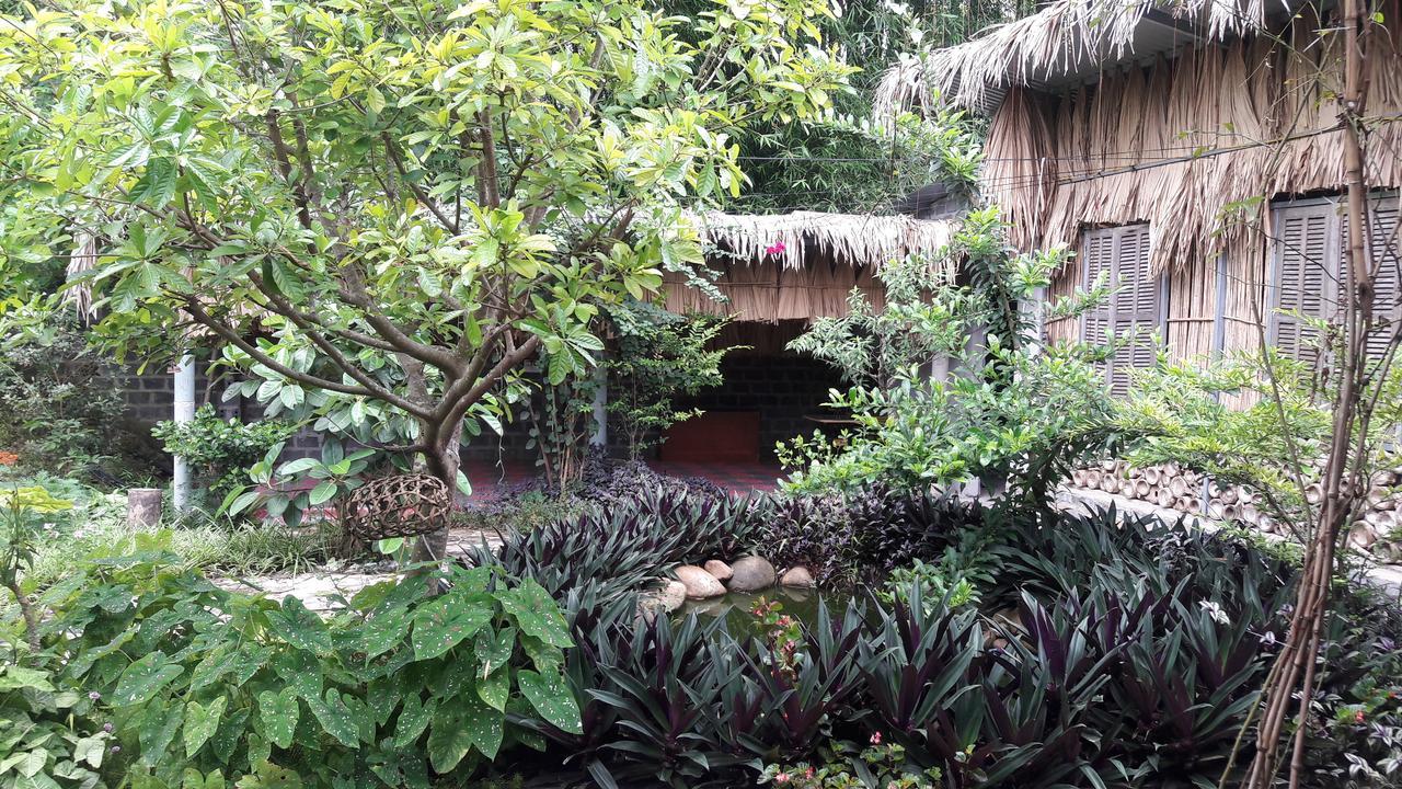 Homestay Lan Rung Nghia Lo Εξωτερικό φωτογραφία