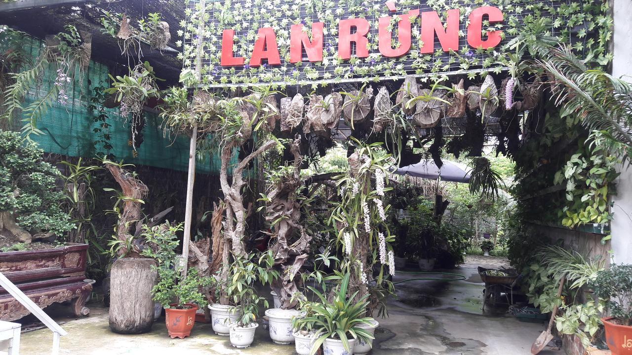 Homestay Lan Rung Nghia Lo Εξωτερικό φωτογραφία