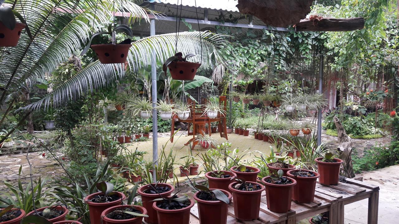 Homestay Lan Rung Nghia Lo Εξωτερικό φωτογραφία