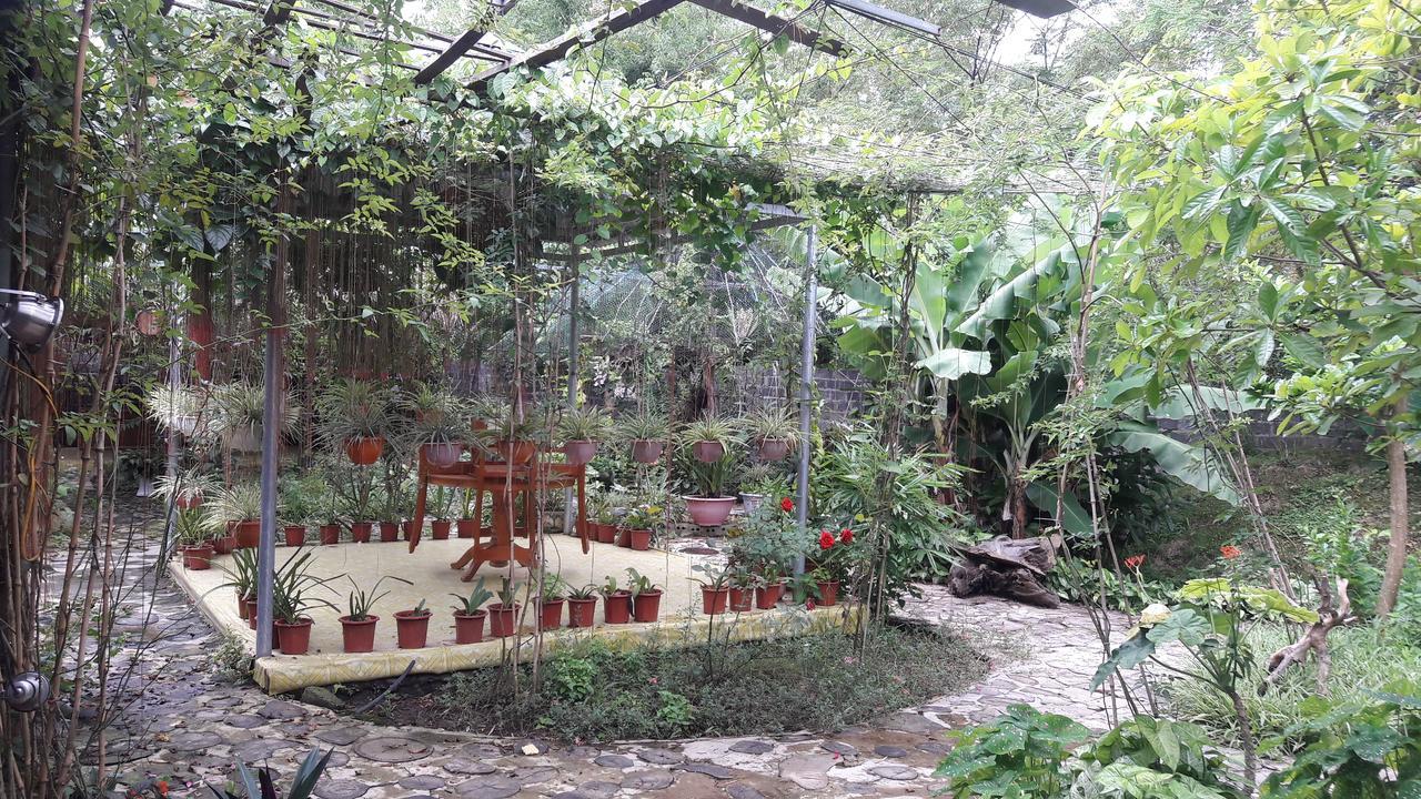 Homestay Lan Rung Nghia Lo Εξωτερικό φωτογραφία