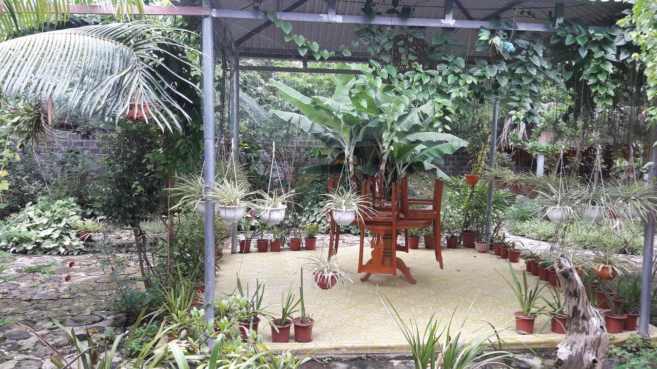 Homestay Lan Rung Nghia Lo Εξωτερικό φωτογραφία