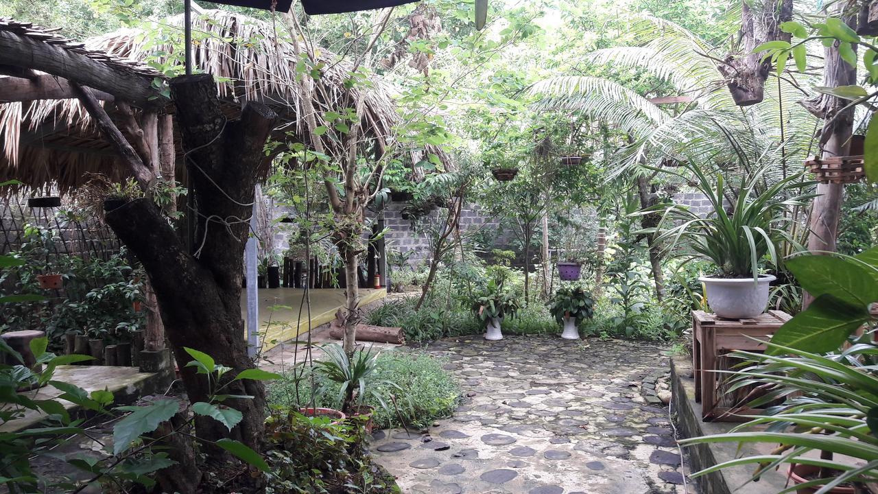 Homestay Lan Rung Nghia Lo Εξωτερικό φωτογραφία